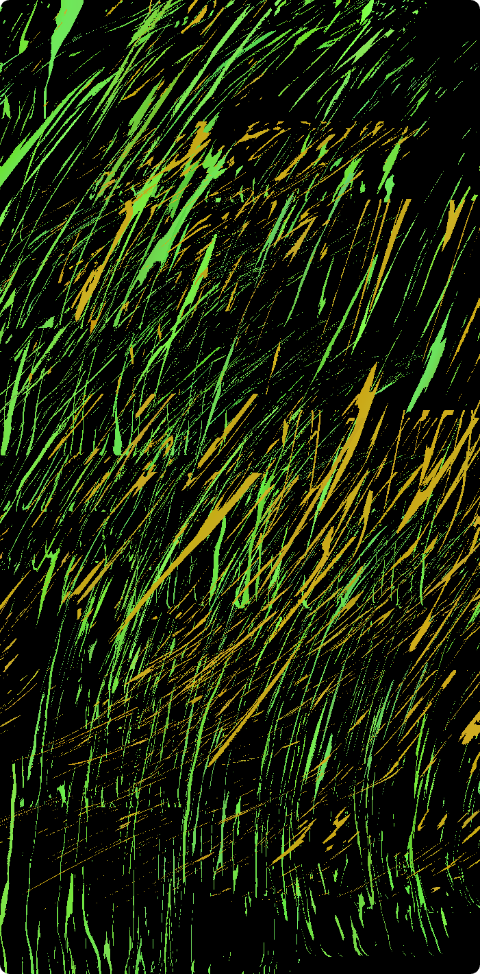 A green and yellowish pattern on black background